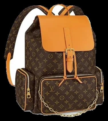 Louis Vuitton Backpacks