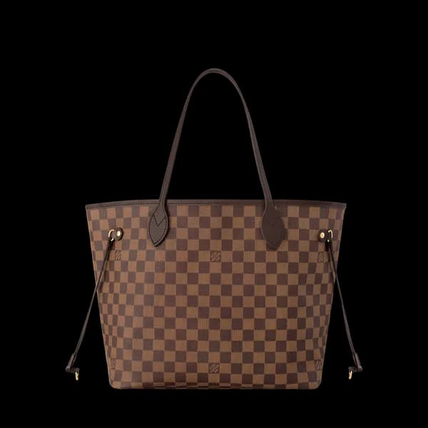 Louis Vuitton Handbags & Totes